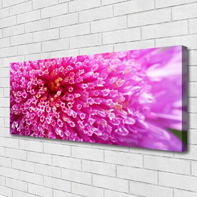 Canvas foto Bloem op muur