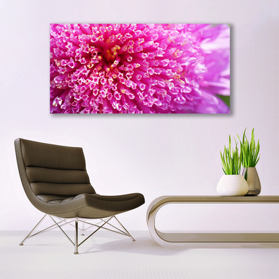 Canvas foto Bloem op muur