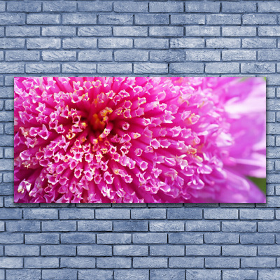 Canvas foto Bloem op muur