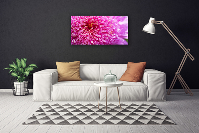 Canvas foto Bloem op muur