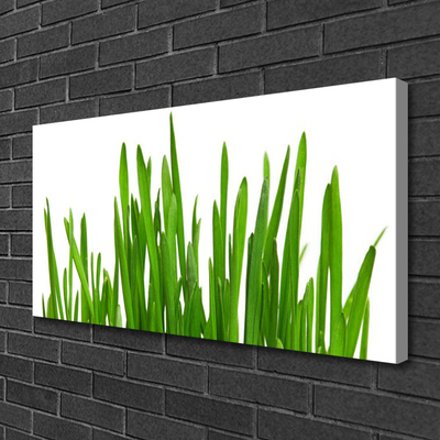 Canvas foto Gras op muur