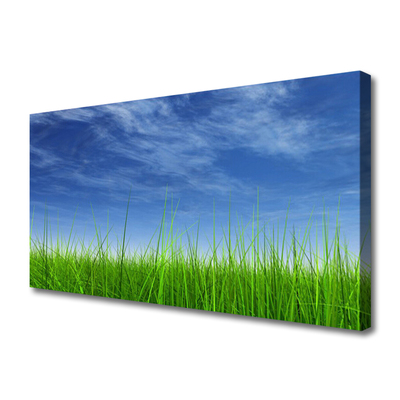 Canvas foto Sky grass nature plant