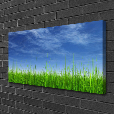 Canvas foto Sky grass nature plant