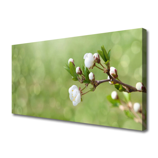 Canvas foto Flowers on the wall