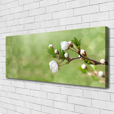 Canvas foto Flowers on the wall