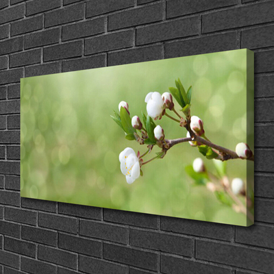 Canvas foto Flowers on the wall