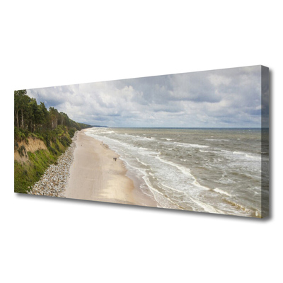 Canvas foto Beach sea tree natuur