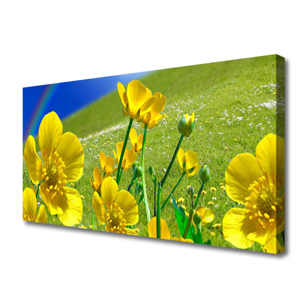 Canvas foto Rainbow meadow bloemen nature