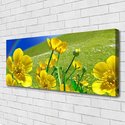 Canvas foto Rainbow meadow bloemen nature