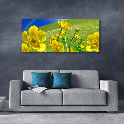 Canvas foto Rainbow meadow bloemen nature