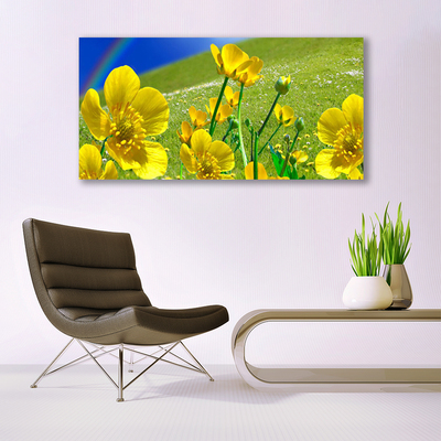 Canvas foto Rainbow meadow bloemen nature