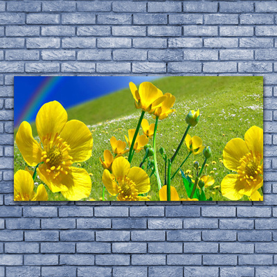 Canvas foto Rainbow meadow bloemen nature