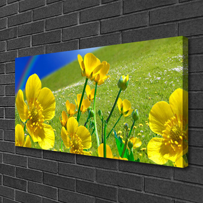 Canvas foto Rainbow meadow bloemen nature