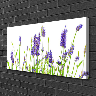 Canvas foto Flowers on the wall
