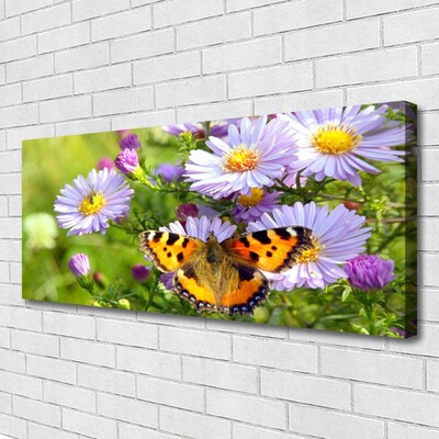 Canvas foto Plant bloemen vlinder nature