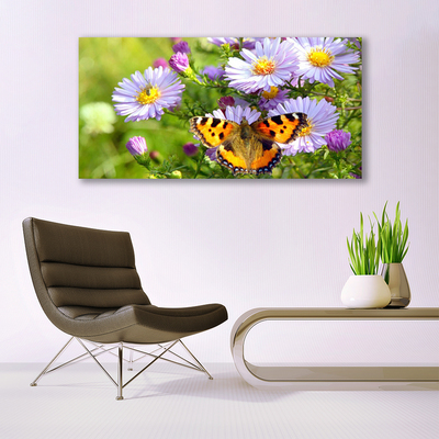 Canvas foto Plant bloemen vlinder nature