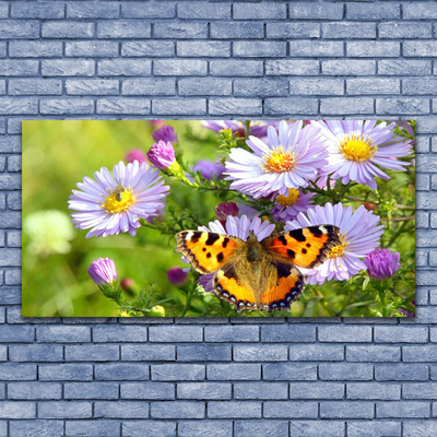 Canvas foto Plant bloemen vlinder nature