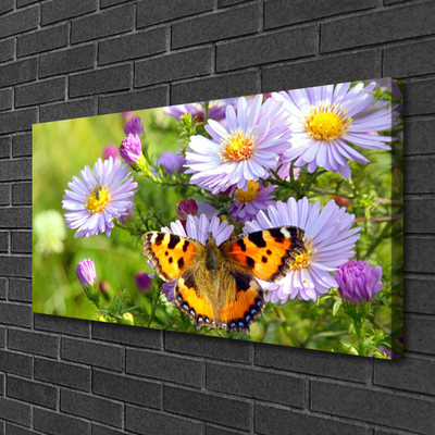 Canvas foto Plant bloemen vlinder nature