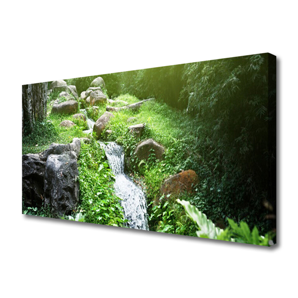 Canvas foto Stroom grass nature plant