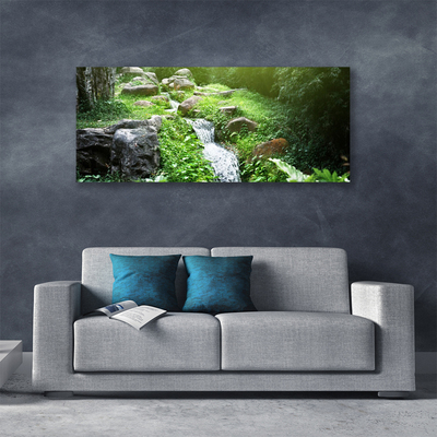 Canvas foto Stroom grass nature plant