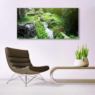 Canvas foto Stroom grass nature plant