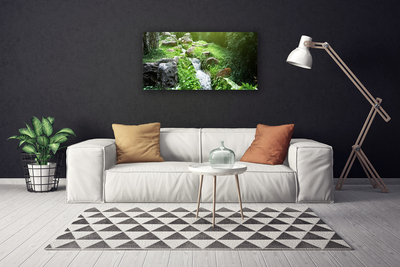 Canvas foto Stroom grass nature plant