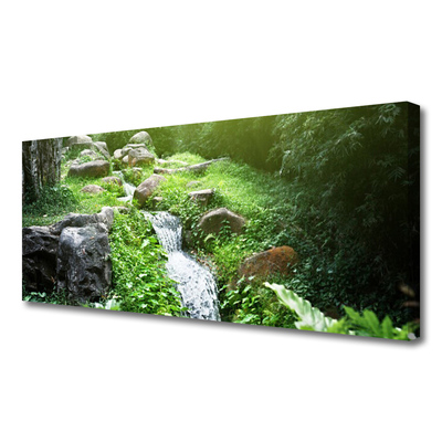 Canvas foto Stroom grass nature plant