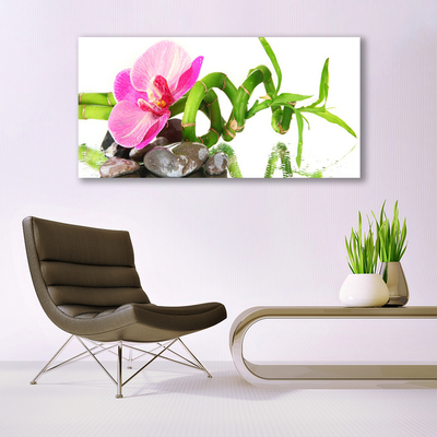 Canvas foto Natuur bloem plant