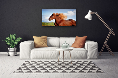 Canvas foto Horse dieren