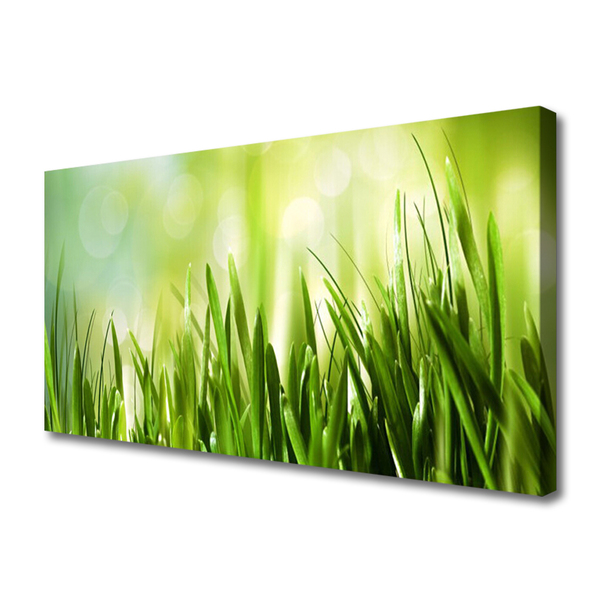 Canvas foto Gras nature