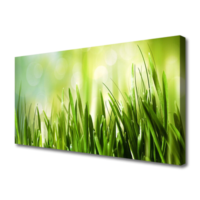 Canvas foto Gras nature