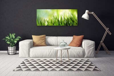 Canvas foto Gras nature