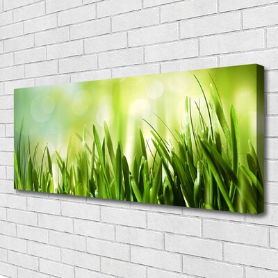 Canvas foto Gras nature