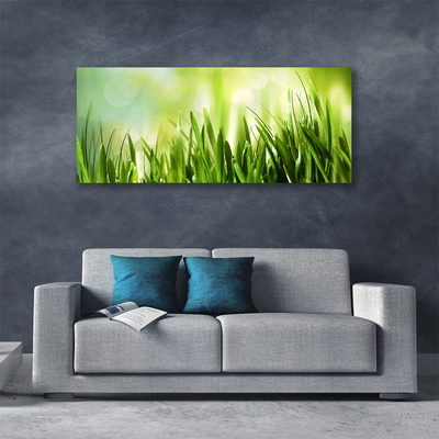 Canvas foto Gras nature