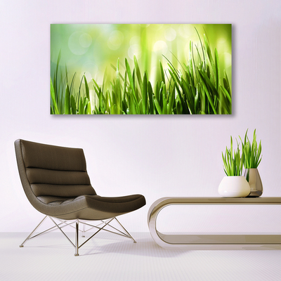 Canvas foto Gras nature