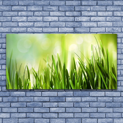 Canvas foto Gras nature