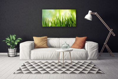 Canvas foto Gras nature