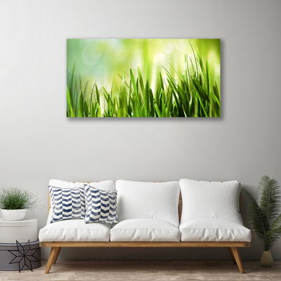 Canvas foto Gras nature