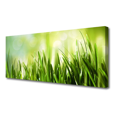 Canvas foto Gras nature