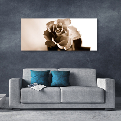Canvas foto Rose flower plant
