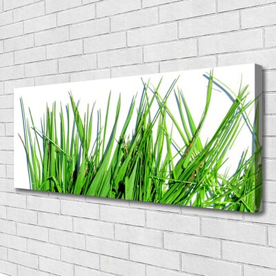 Canvas foto Gras op muur