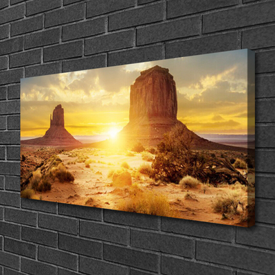 Canvas foto Desert sun landschap