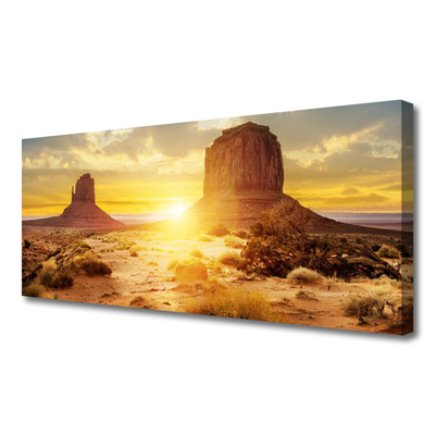 Canvas foto Desert sun landschap