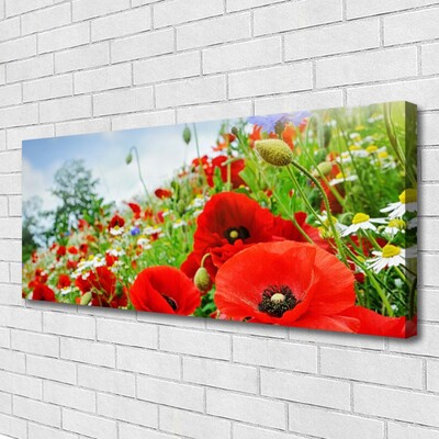 Canvas foto Bloemen nature