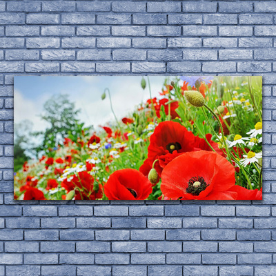 Canvas foto Bloemen nature