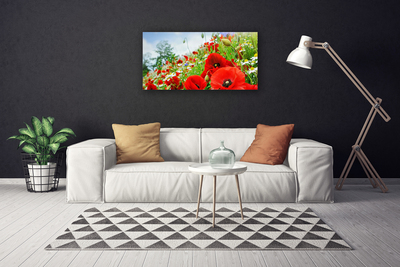 Canvas foto Bloemen nature