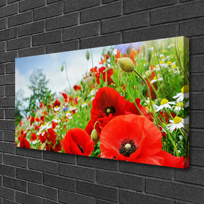 Canvas foto Bloemen nature