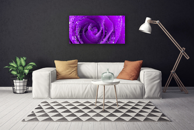Canvas foto Rose flower plant