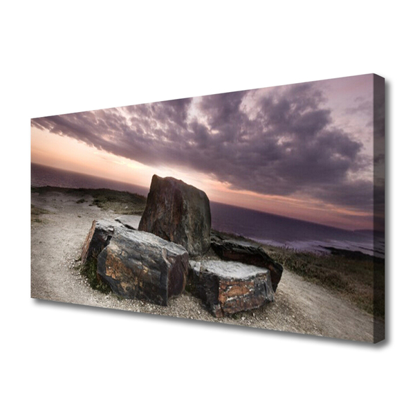 Canvas foto Rots landschap