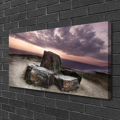 Canvas foto Rots landschap